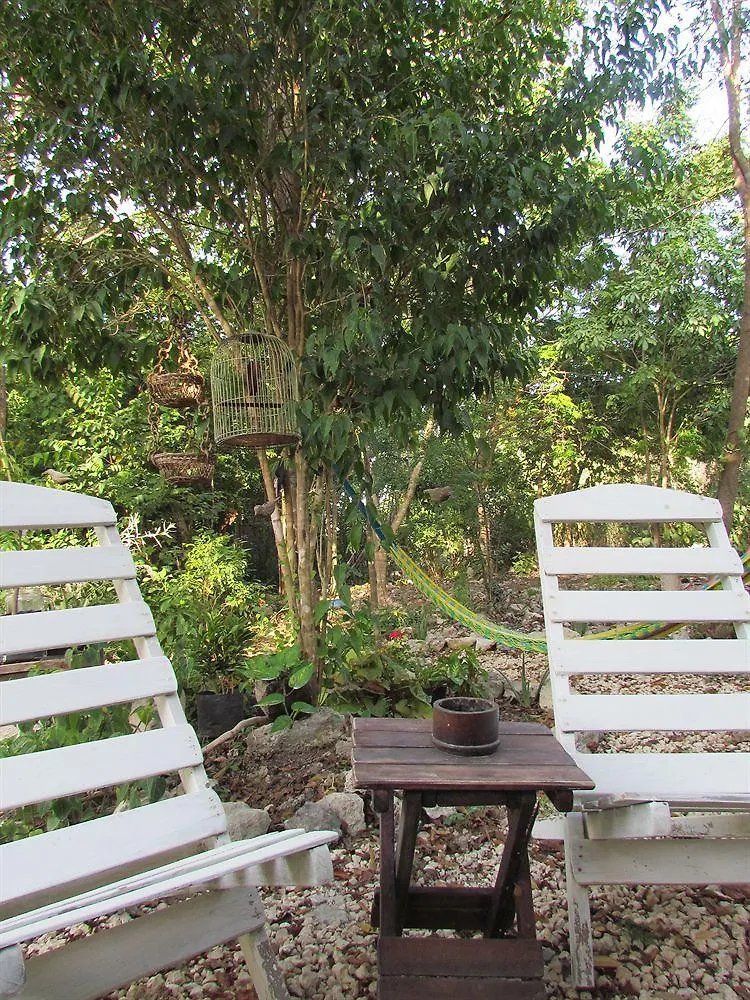 Casa Chachalaca Appartamento Tulum Messico