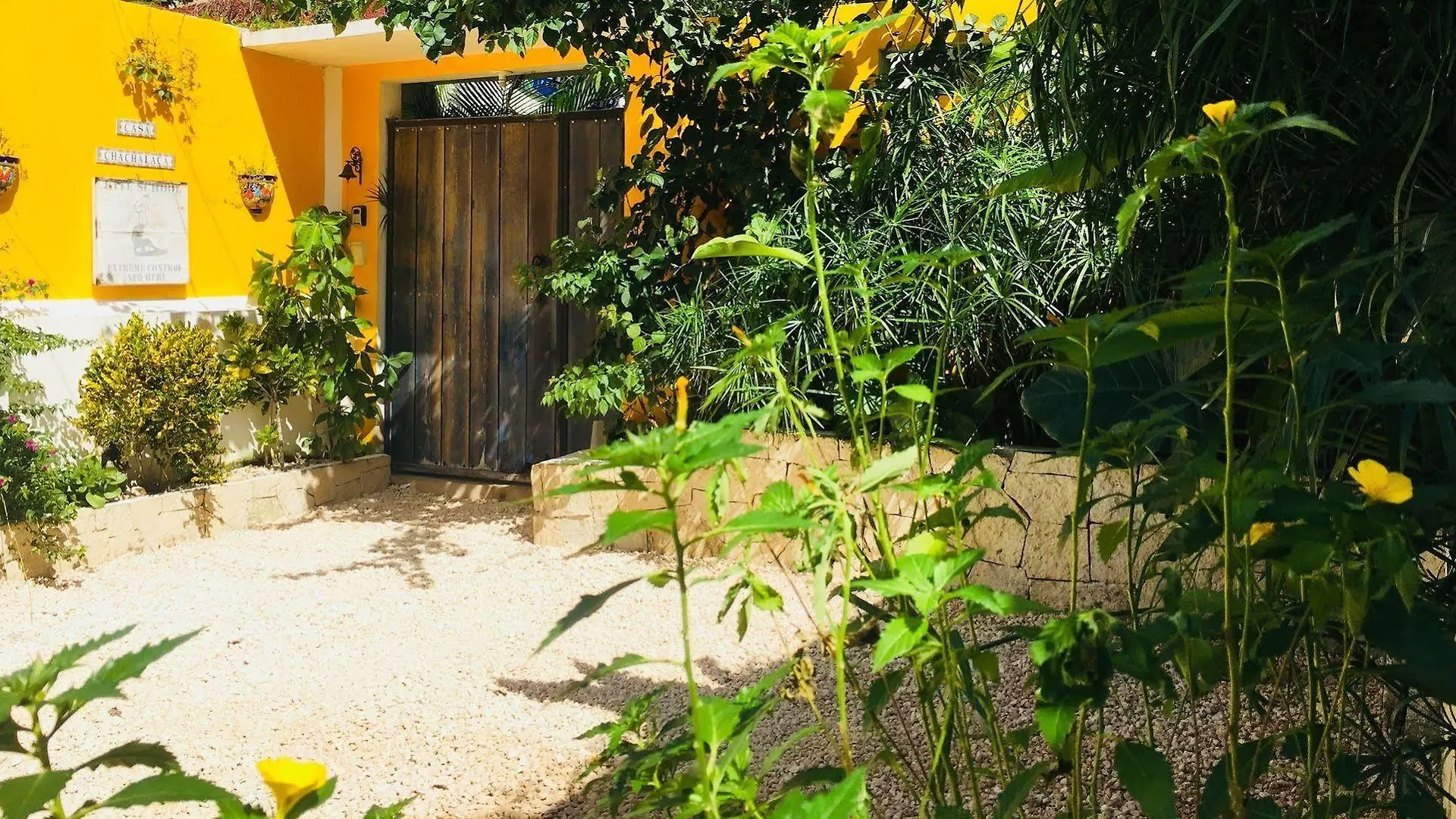 Ferienwohnung Casa Chachalaca Tulum Apartment
